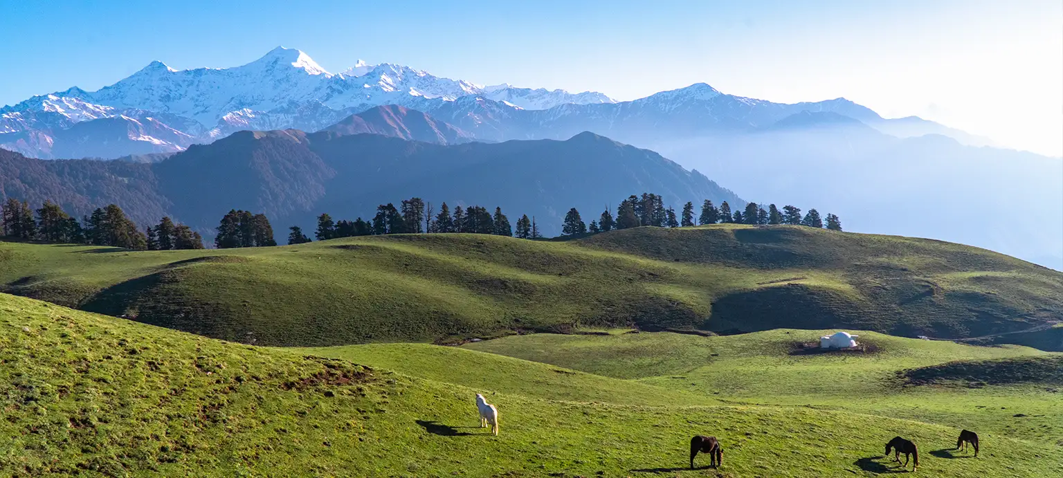Dayara Bugyal Trek